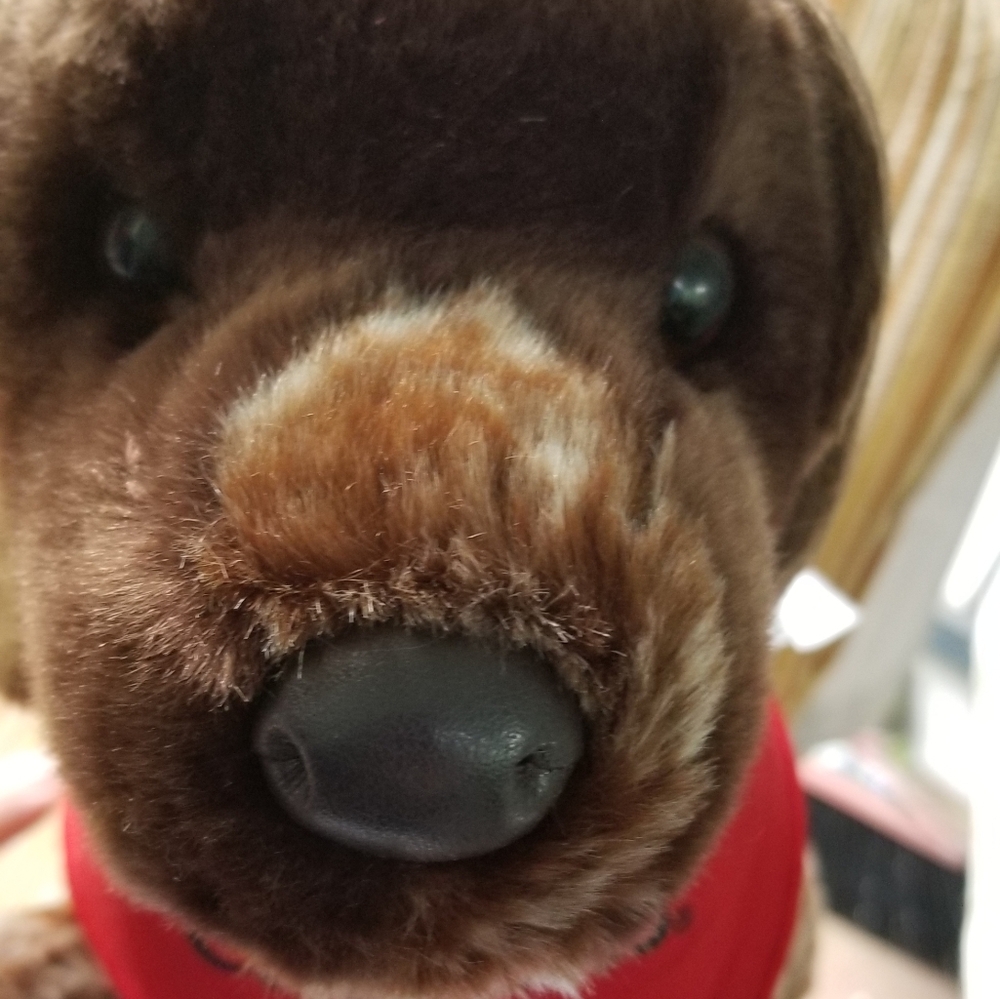 Springer Spaniel Douglas The Cuddle Toy Stuffed An